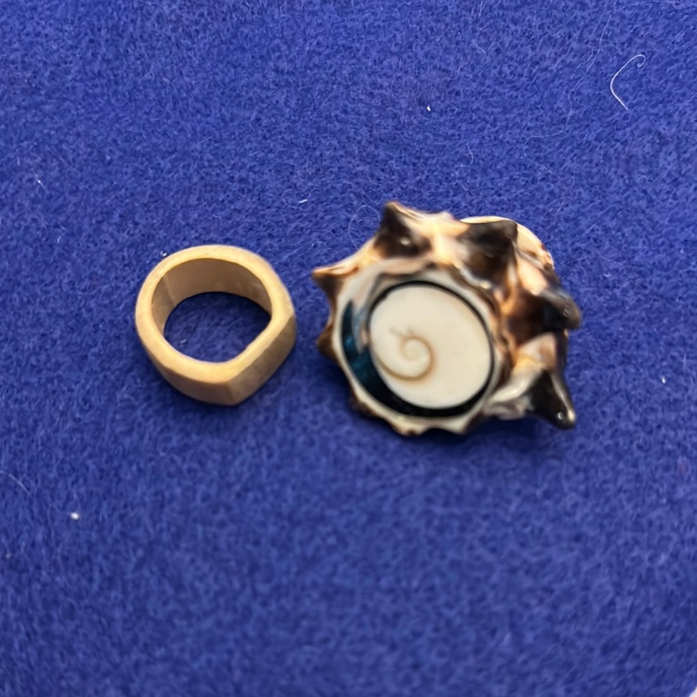 Gold and Cream Shell Ring